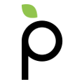 Plum Acquisition Corp. IV Warrants Logo
