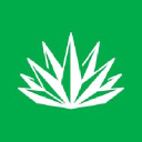 Agave logo