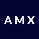 Agile Management Experts [AMX] (Smartsheet Platinum Solution Partner)