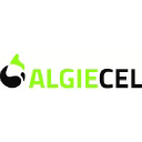 Algiecel