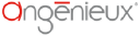 Angénieux logo