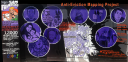 Anti-Eviction Mapping Project logo