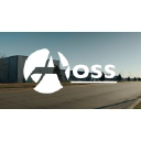 AxoSim