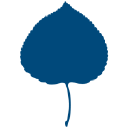Aspen Initiative Africa logo