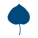 Aspen Institute Central Europe logo