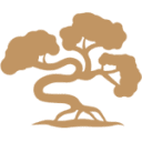 Global Surface Intelligence Ltd.