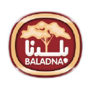 BLDN logo