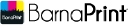Camaloon