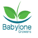 Babylone Growers
