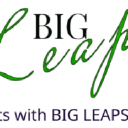 Big Leap Consulting Logo