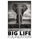 Big Life Foundation logo