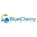 Blue Cherry Group logo