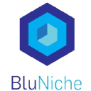 BluNiche logo