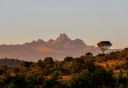 Borana Conservancy logo