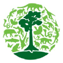 Borneo Nature Foundation logo