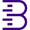 Brand Metrics logo