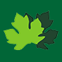 Broadleaf logo