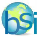 Business Systems Integrators logo