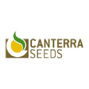 CANTERRA SEEDS logo