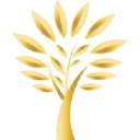 Theodent