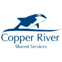 Copper River Information Technology, LLC logo