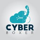 Cyber Boxer