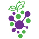 Data Sangria logo