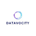 Datavocity logo