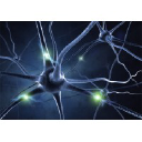 Deep Learning Partnership logo