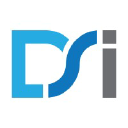 Design and Software International logo