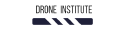 Dronestitute logo