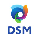 DSM-Firmenich logo