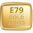 E79 logo