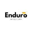 ENDR logo