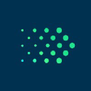 Everfield logo