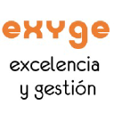 Exyge Management Consulting logo