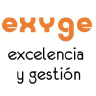 Exyge Management Consulting logo