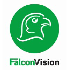 Falcon-Vision
