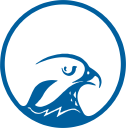 Falcon Holdings logo