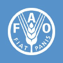 Food and Agriculture Organization of the United Nations logo