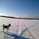 A Plus Accountancy & Business Solutions