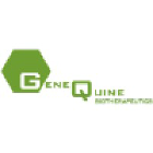 GeneQuine Biotherapeutics GmbH