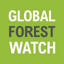 Global Forest Watch logo