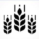 Harvest Consulting