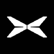XPEV N logo
