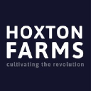 Hoxton Farms logo