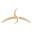 Hunt Community logo