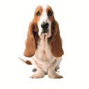 Hush Puppies logo