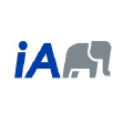 IAG1 N logo