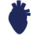 Italy Medical Schools logo